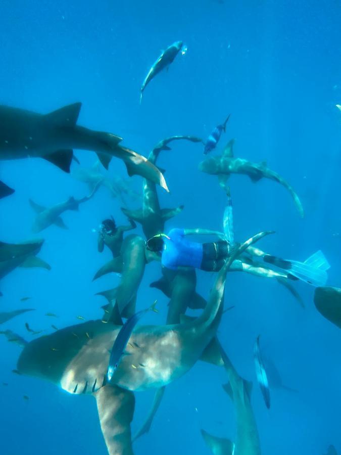 Reef Edge Thulusdhoo, Maldives Hotel Exterior foto