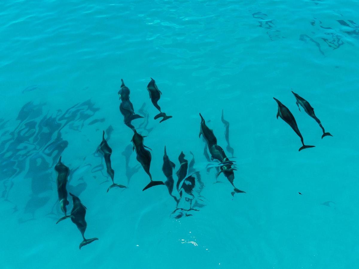 Reef Edge Thulusdhoo, Maldives Hotel Exterior foto