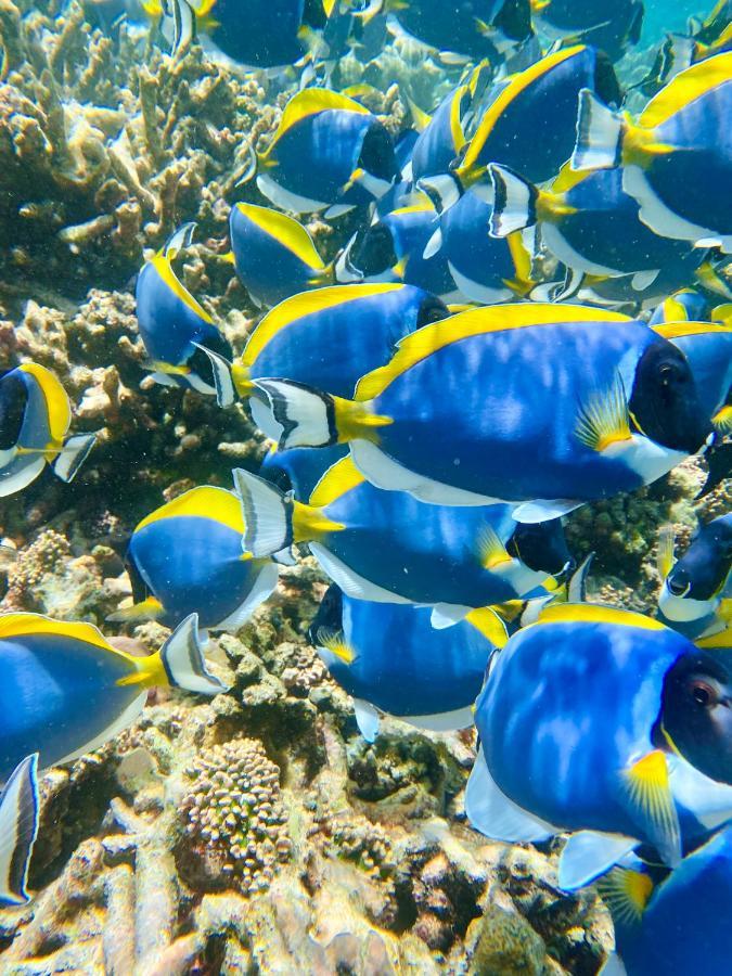 Reef Edge Thulusdhoo, Maldives Hotel Exterior foto